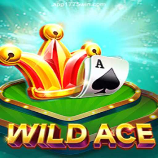 Discover the Thrills of WildAce on 1775Win.com Platform